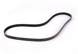 BMW E70 X5 OEM CONTITECH  Drive Belt NEW 2007-2010 4.8i 7PK1666