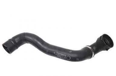 Mercedes-Benz Genuine W220 S-Class Radiator Lower Hose S430 S500 4Matic NEW